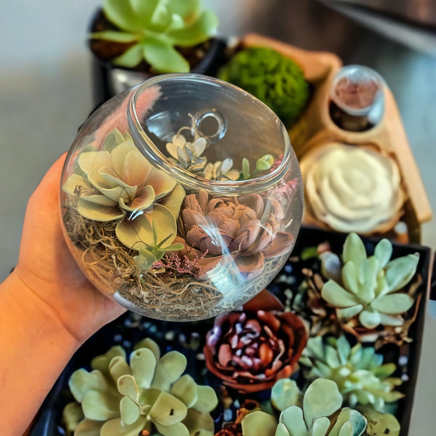 Wood Succulent Wall Hanging Glass Orb